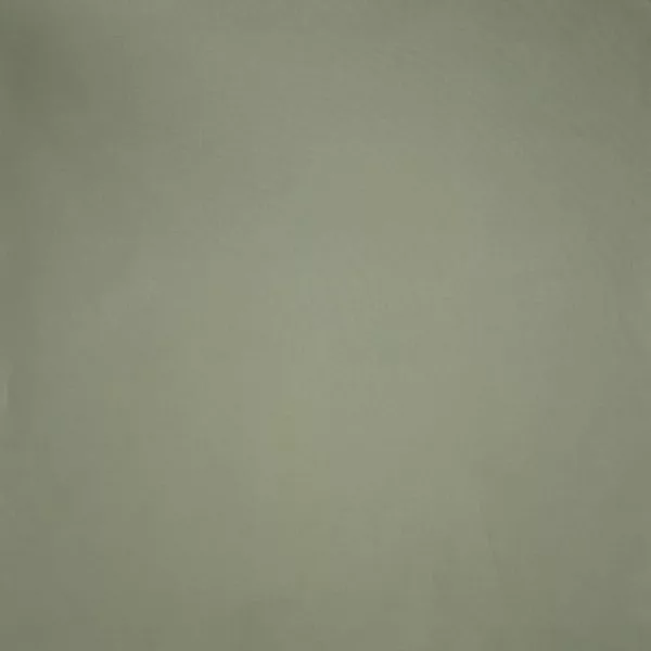 Brisbane Moss / Sage 2545