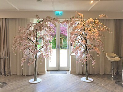 Blossom Trees
