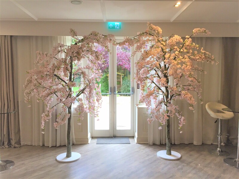 Blossom Trees