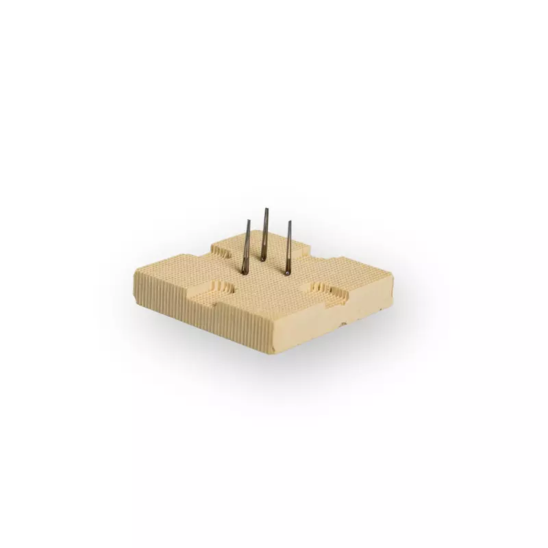 Brenngutträgeset