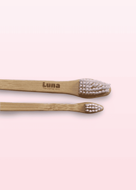 Luna Bamboo Pet Toothbrush