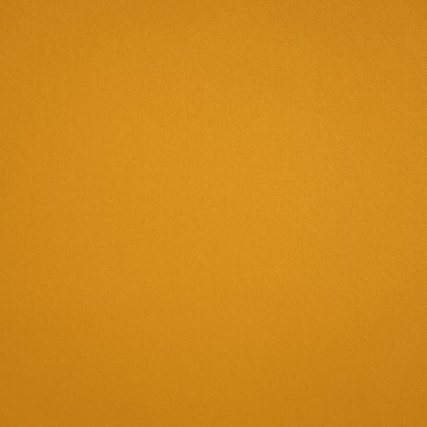 Brisbane Moss / New Yellow