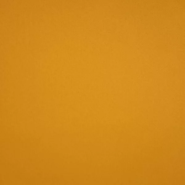 Brisbane Moss / New Yellow