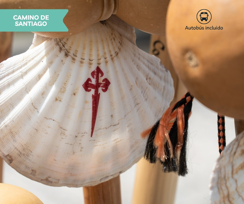 CAMINO DE SANTIAGO