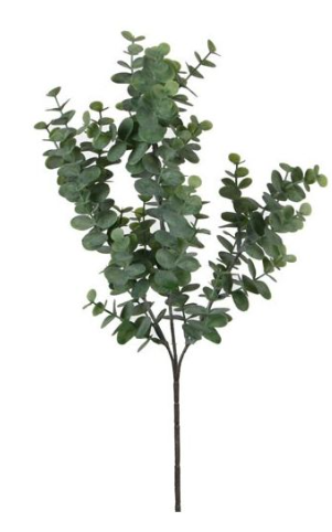 EDELMAN - Eucalyptus vert