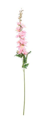 EDELMAN - Delphinium Rose EDELMAN - Delphinium Rose