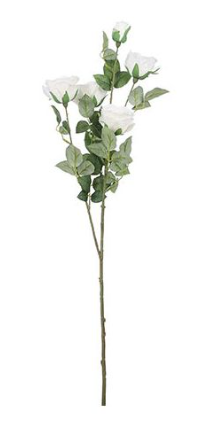 EDELMAN - Rose Crème