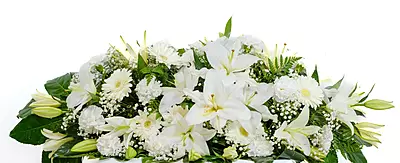 Centro ECO Incineracion