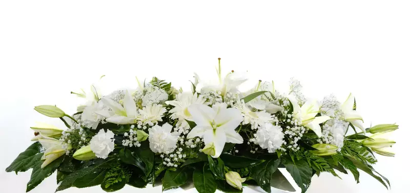 Centro ECO Incineracion