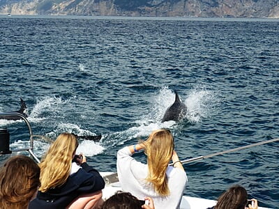 Adventure Camp for Teens in Portugal