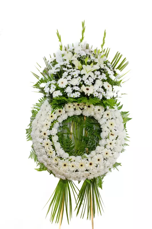 Corona Classic Corona Classic