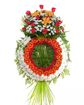 Corona Classic Corona Classic