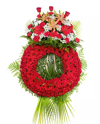 Corona Classic Corona Classic