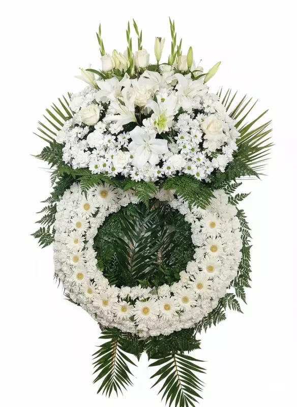 Corona Premium Corona Premium