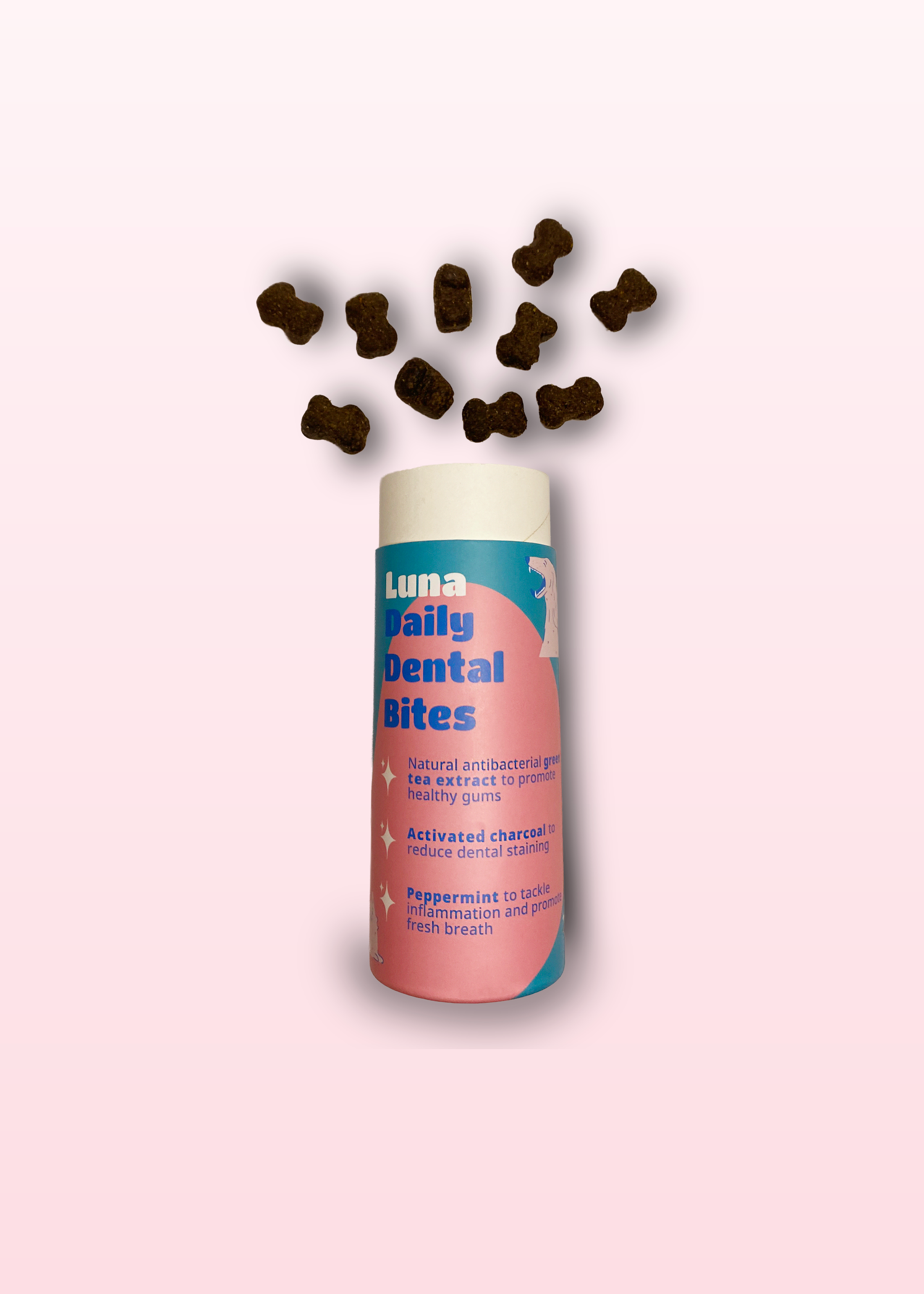 Luna Daily Dental Bites (wholesale box)