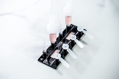 DynamicOrgan® 2-Channel Kit - 5µm - L DynamicOrgan® 2-Channel Kit - 5µm - L