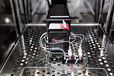 DynamicOrgan® 3-Channel System - 5µm - S DynamicOrgan® 3-Channel System - 5µm - S