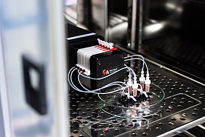 DynamicOrgan® 3-Channel System - 0.4µm - S