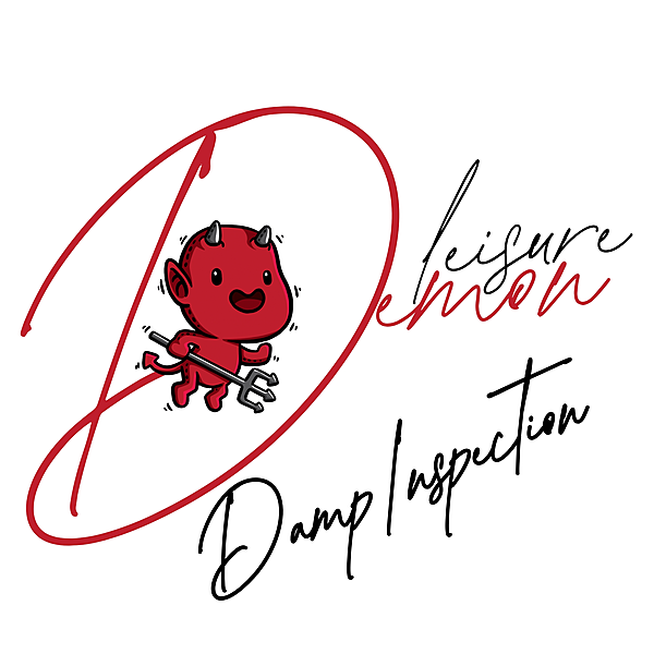 Damp Inspection & Prevention