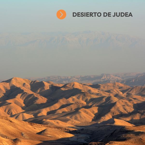 Peregrinación a Tierra Santa Peregrinación a Tierra Santa