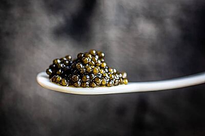 CAVIAR IRANIAN BAERII (1 variant) CAVIAR IRANIAN BAERII (1 variant)