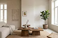 Franco 70 Walnut