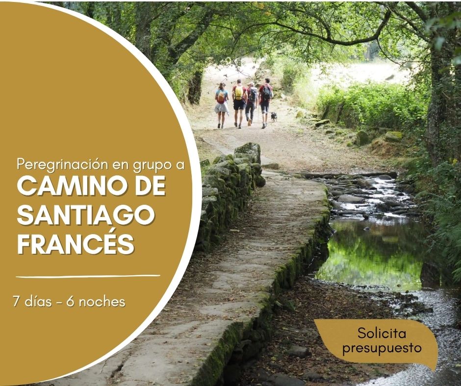 Camino de Santiago Frances Camino de Santiago Frances