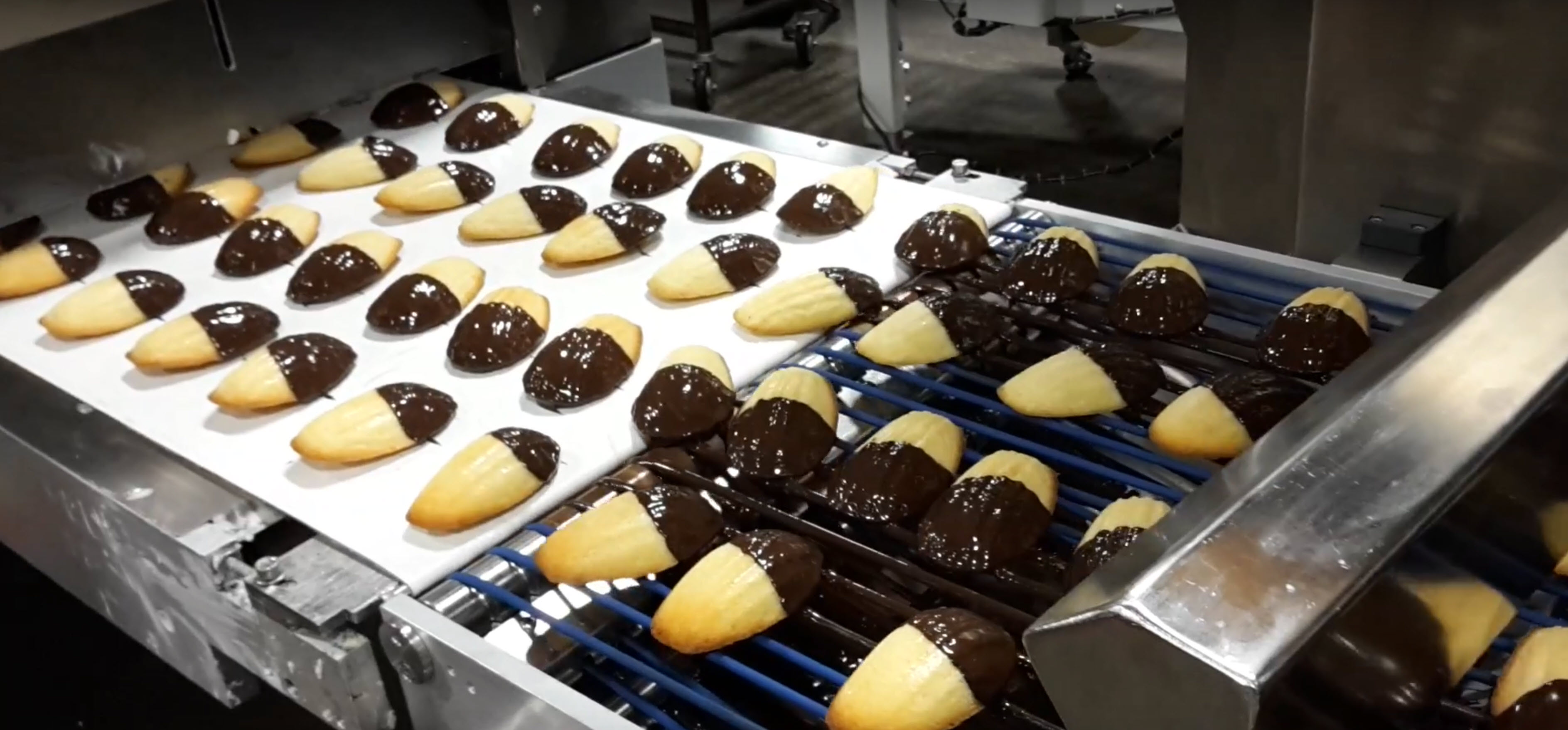 J3-10-1204 Riemenband CR250Z