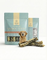Salmon Tuiles