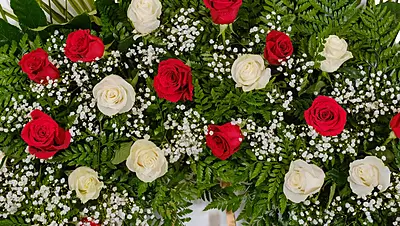 Guirnalda de Rosas Guirnalda de Rosas