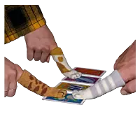 Fish & Katz DEUTSCH - mit minimalen Transportspuren