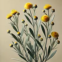 Oway soothing hair bath 240ml Oway soothing hair bath 240ml