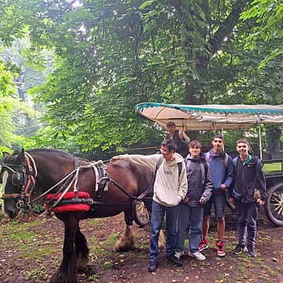 Adventure Culture Travel Program