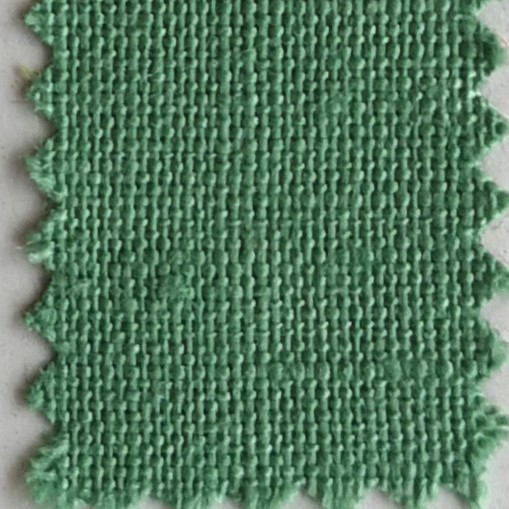 Brisbane Moss Mint