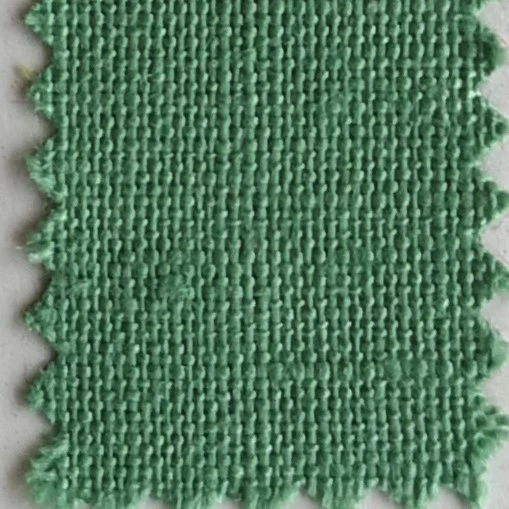 Brisbane Moss Mint