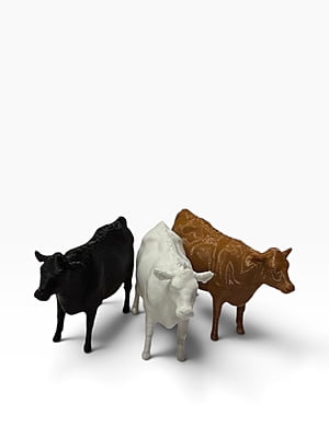 Cow – Scenic Accessory