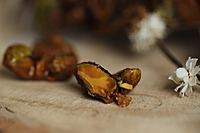 Caramel Pistachios