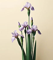 Oway rebuilding hair mask 150ml Oway rebuilding hair mask 150ml