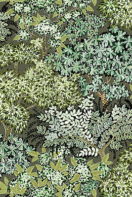 Broccoli Canopy Vinyl Broccoli Canopy Vinyl