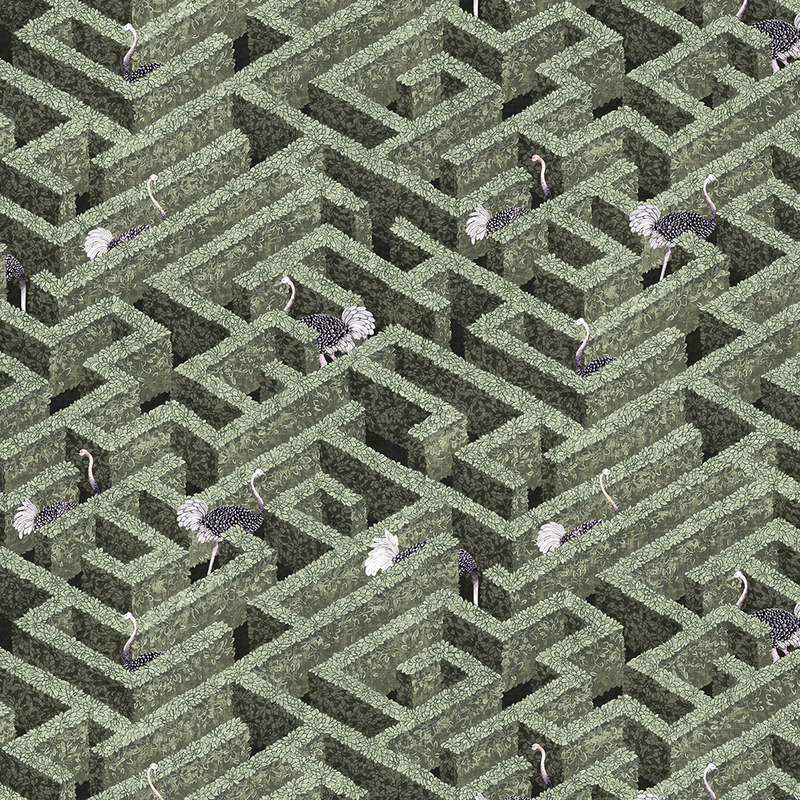 Labyrinth with Ostriches Wallpaper - Eucalyptus Labyrinth with Ostriches Wallpaper - Eucalyptus
