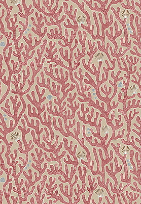 Coral Vinyl Coral Vinyl