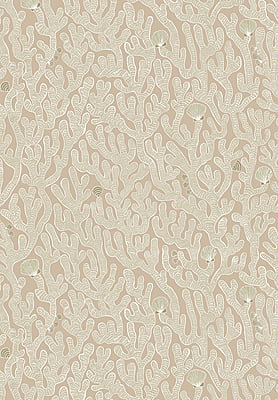 Coral Vinyl Coral Vinyl