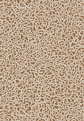 Bea's Swallows and Clouds Vinyl Bea's Swallows and Clouds Vinyl