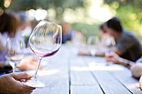 6 botellas 1856 Vi de la Terra 2016 Macià Batle