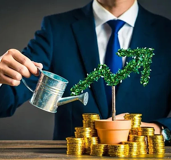 Investori sisenemine ettevõttesse