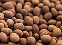 ChocoHolic PanCoater CPC-600 Air