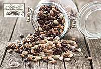 ChocoLand PanCoater CPC-6