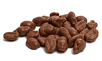 ChocoLand PanCoater CPC-6