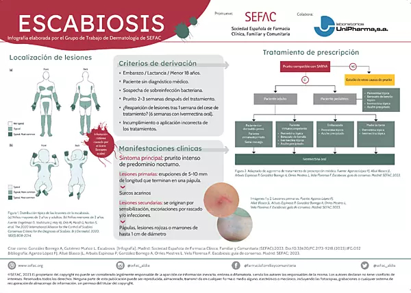 INFOGRAFIA ESCABIOSIS
