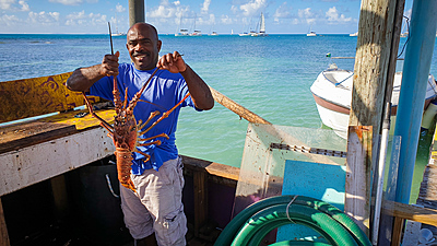 2021-11-30 (14 Tg) KARIBIK: British Virgin Islands (Katamaran-Wintertraum) - IN PLANUNG